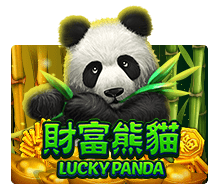 lucky panda